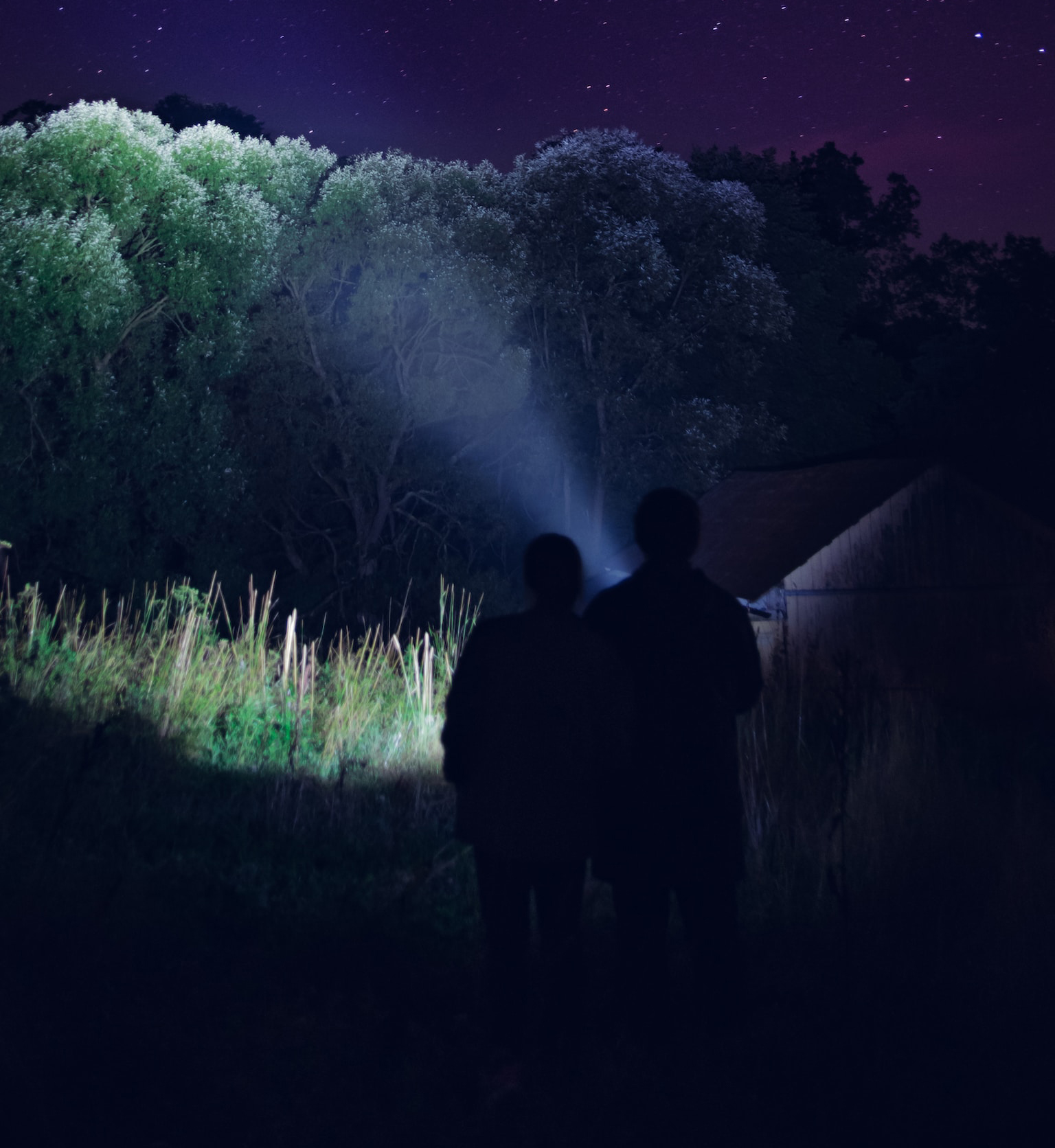 Two people shining a flashlight into a forest at night.